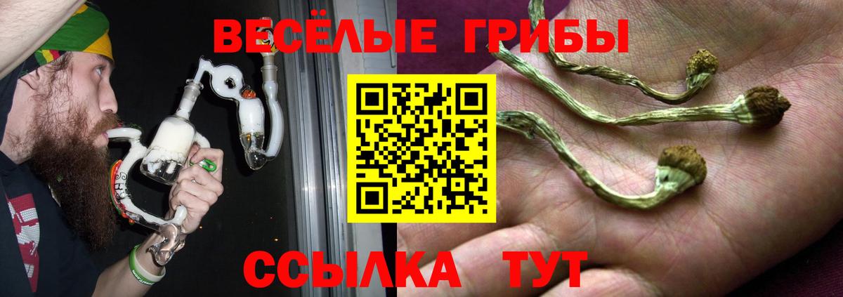 Псилоцибиновые грибы GOLDEN TEACHER Лесосибирск