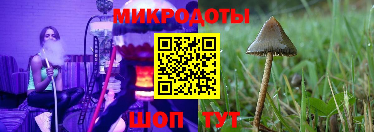 Псилоцибиновые грибы Psilocybe  Вход с VPN  Лесосибирск 